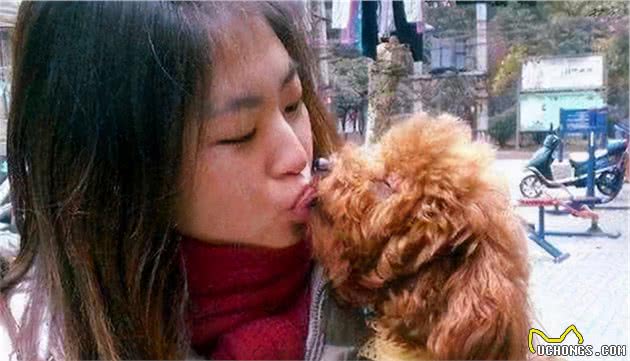 贵宾犬舔人身上不同的位置，其实它是在表达这几个意思