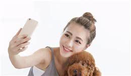 贵宾犬舔人身上不同的位置，其实它是在表达这几个意思