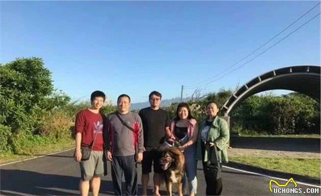 150多斤的大狗去打针，事后跑去“骂”兽医，医患关系很紧张