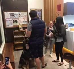 150多斤的大狗去打针，事后跑去“骂”兽医，医患关系很紧张