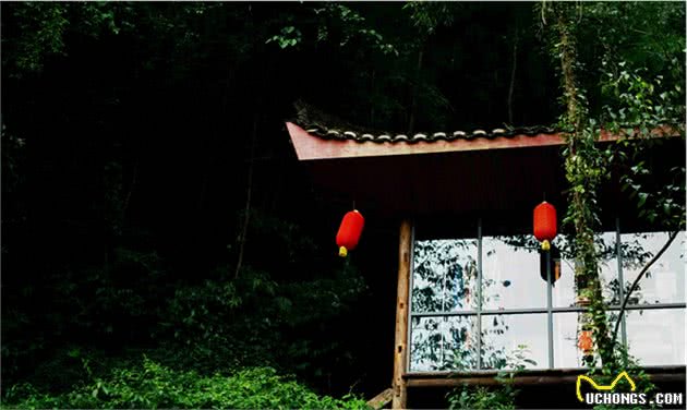 与德国牧羊犬齐名的“中华名猎”下司犬在舒适安逸锦绣谷变粘人精