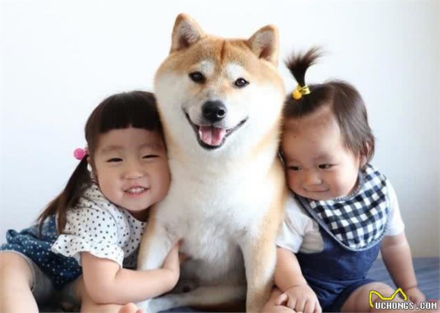 狗狗有多在乎主人，你大概不知道