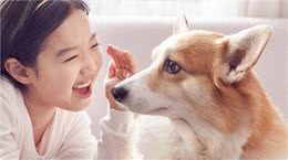 养狗，为什么推荐你养公狗？过来人告诉你有这6点好处