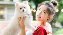 今日新鲜事-如何训练出一只听话的狗狗