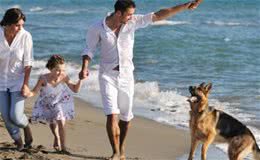 狗狗总会有一些捣乱行为？是因为狗狗太想你了，你家狗狗这样做吗