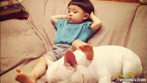 狗狗掉毛严重怎么办？这5招帮你搞定