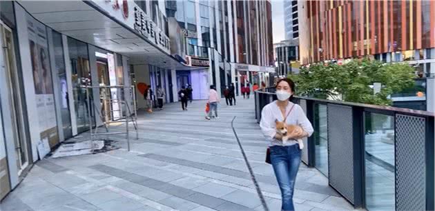 新手养柯基指南|养柯基之前必须知道的八点建议，请收好