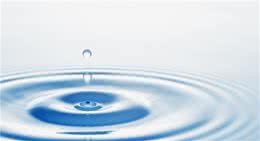 那些养狗狗的你狗狗应该喝什么样的水你真的了解吗？