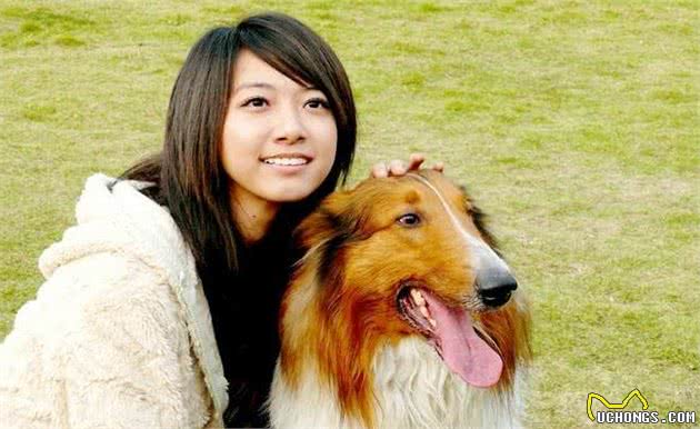 你知道狗狗舔你是什么意思吗？意思有5个，宠主都知道吗？