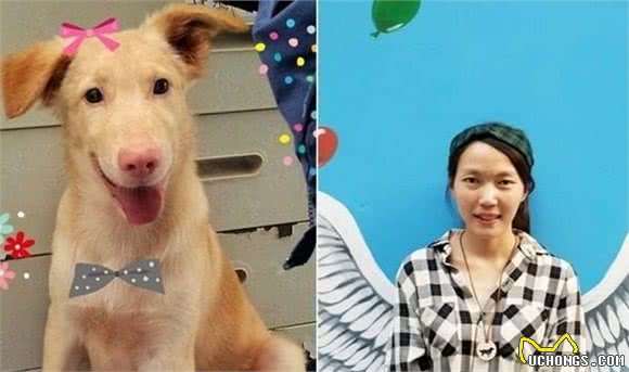 流浪猫狗的最后归宿，人道毁灭
