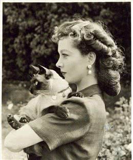 想养暹罗猫吗？首先问问你自己家里有矿吗？