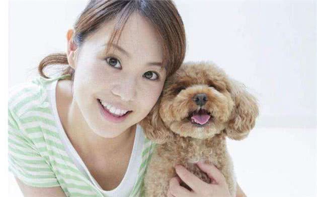 即使你是主人，对泰迪做这5件事，都可能翻脸咬人！