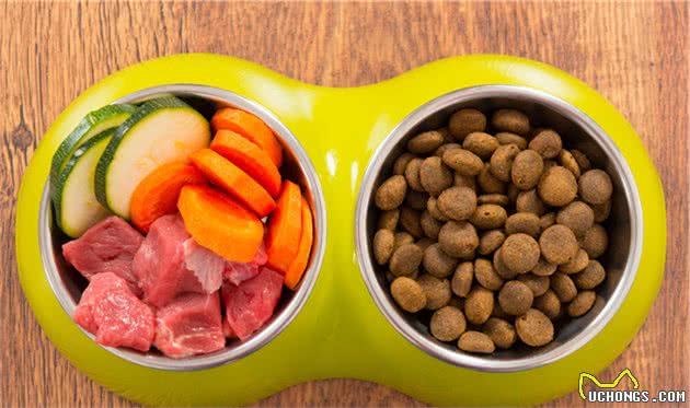 如何让狗狗远离，让宠主闻风丧胆的犬细小？只要做到这5点