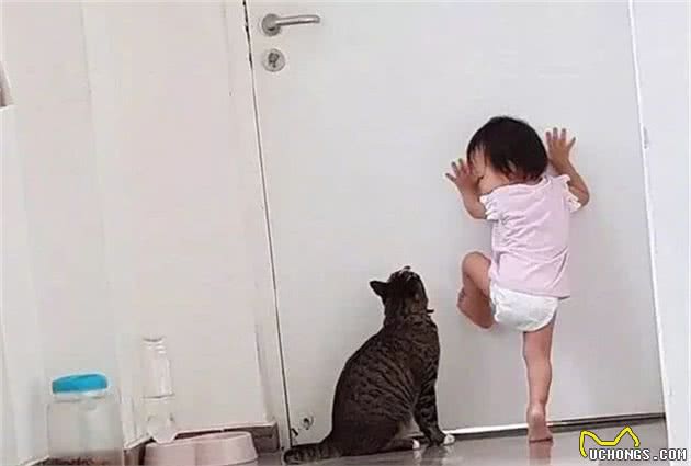 狸花猫面对宝宝请求无法拒绝，主动帮宝宝开门，开心结伴偷跑！
