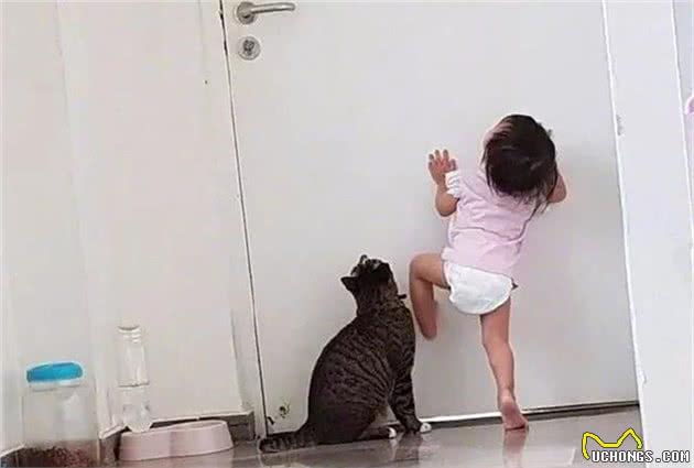 狸花猫面对宝宝请求无法拒绝，主动帮宝宝开门，开心结伴偷跑！