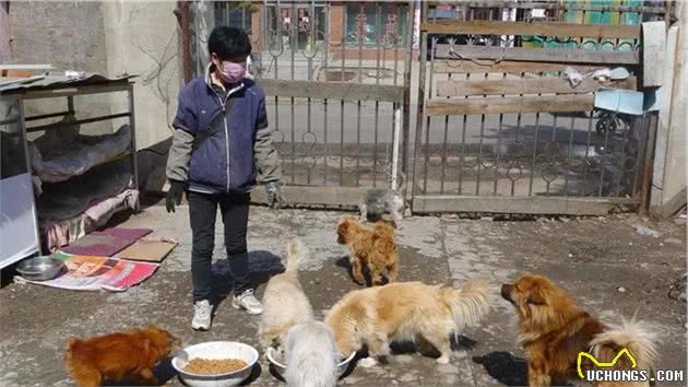 门外跑来一只流浪猫，要不要养？普通家庭的我们，能养得住它么