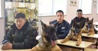 在各行各业工作的狗子，真是无敌暖萌又帅气呢