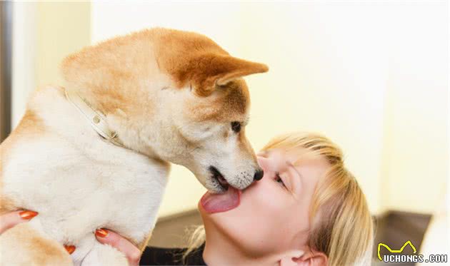 狗狗认定你是主人的9个表现，你家狗狗中了几点？