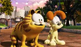 猫和狗，到底谁更聪明？|赛先生
