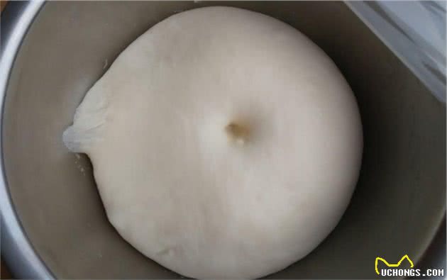超全！狗狗不能吃的27种食物