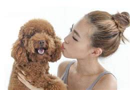 这几种狗狗究竟有多难养？网友：给我十万再养一次，我都不愿意