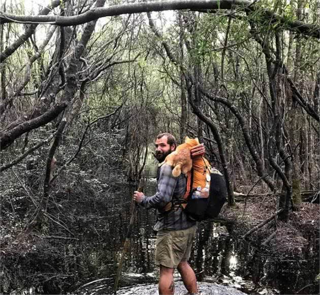 暖心！国外驴友带失明爱犬四处徒步旅行，让狗狗重获希望