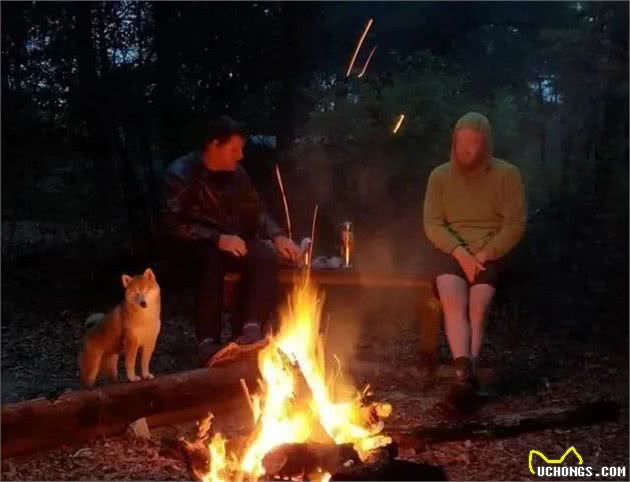 暖心！国外驴友带失明爱犬四处徒步旅行，让狗狗重获希望