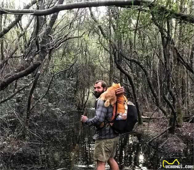 暖心！国外驴友带失明爱犬四处徒步旅行，让狗狗重获希望