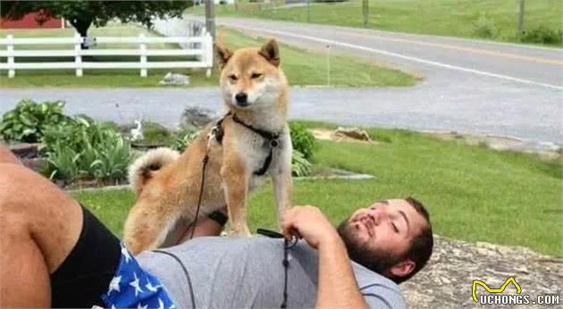 暖心！国外驴友带失明爱犬四处徒步旅行，让狗狗重获希望