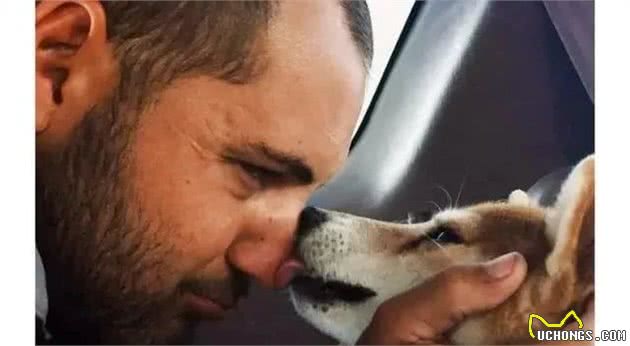 暖心！国外驴友带失明爱犬四处徒步旅行，让狗狗重获希望