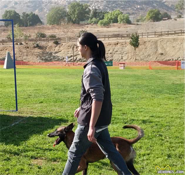 养马犬的十大好处，不养不知道