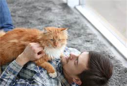 如果可以保护，这6种猫，你最想保护哪种呢？