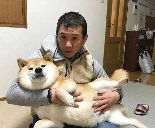 别怪狗狗不让你抱，你可能犯了这几个“错”
