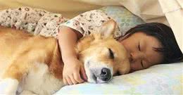 看狗狗的睡觉位置，就能看出你的重要程度