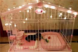 如何为狗狗挑选一个合适的狗笼？