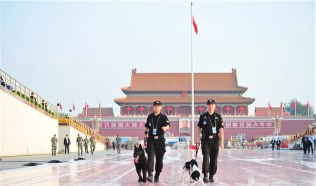 超级A的警犬！