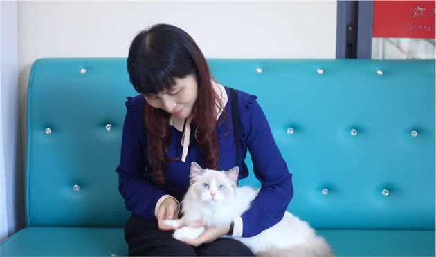 养布偶猫的“坑”，你踩了吗？