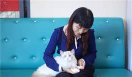 养布偶猫的“坑”，你踩了吗？
