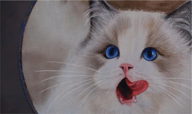 猫宫庄园如何判断猫咪是否有听力问题？