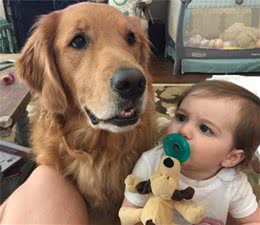 “通人性”的狗狗会有这6点特征，你家狗中了几个？