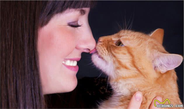 猫猫的忠诚度真的比狗低吗？其实并不是，只是你还没有真正懂他