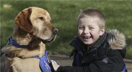 小狗陪老大爷生活久了，坐姿也像极了老大爷，邻居们肚子都笑痛了