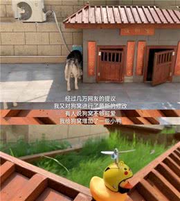 嫉妒了！主人花万元为狗建别墅：还有空调