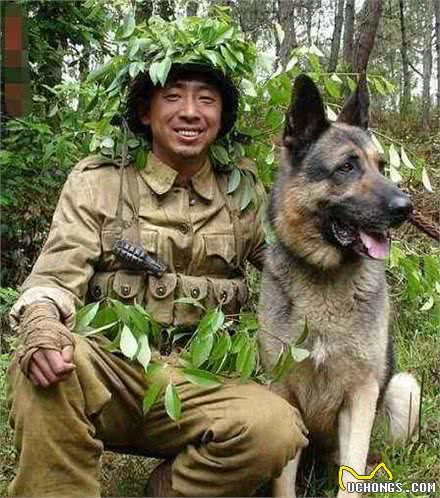 中国十大犬种之昆明犬