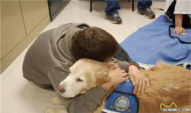 灵缇犬的迷之微笑竟能缓解主人病痛，铲屎官：谢谢你带给我阳光