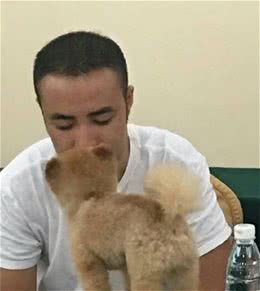 某狗在选美大赛上睡着了，这是走错片场了？