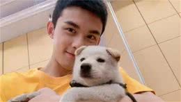 吴磊的抱狗姿势绝绝子