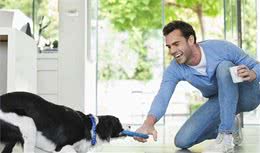 在家隔离闷得发慌？主人可以在家训练狗狗，消耗体能还能锻炼大脑