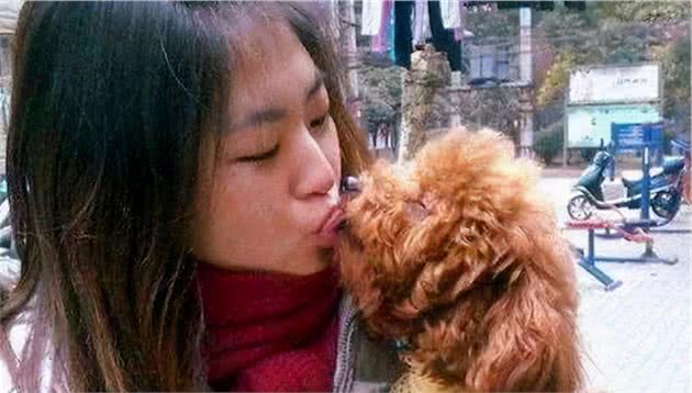 泰迪犬为何总爱舔人？它只是想告诉你这5件事，希望每个主人都懂