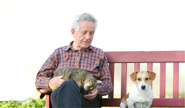 养犬者的素养，你知道哪些？